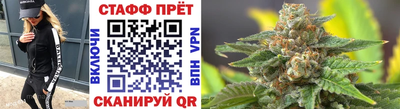 Купить наркотики Малгобек Псилоцибиновые грибы  Бошки Шишки 