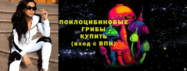 mix Козельск