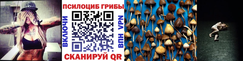 сколько стоит  Малгобек  Псилоцибиновые грибы GOLDEN TEACHER 