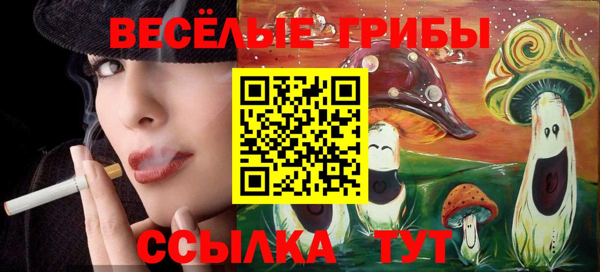 Галлюциногенные грибы мицелий  Галлюциногенные грибы Cubensis  Вход с VPN  Малгобек 