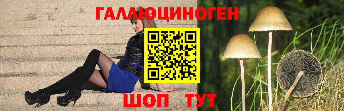 Псилоцибиновые грибы Psilocybine cubensis Малгобек