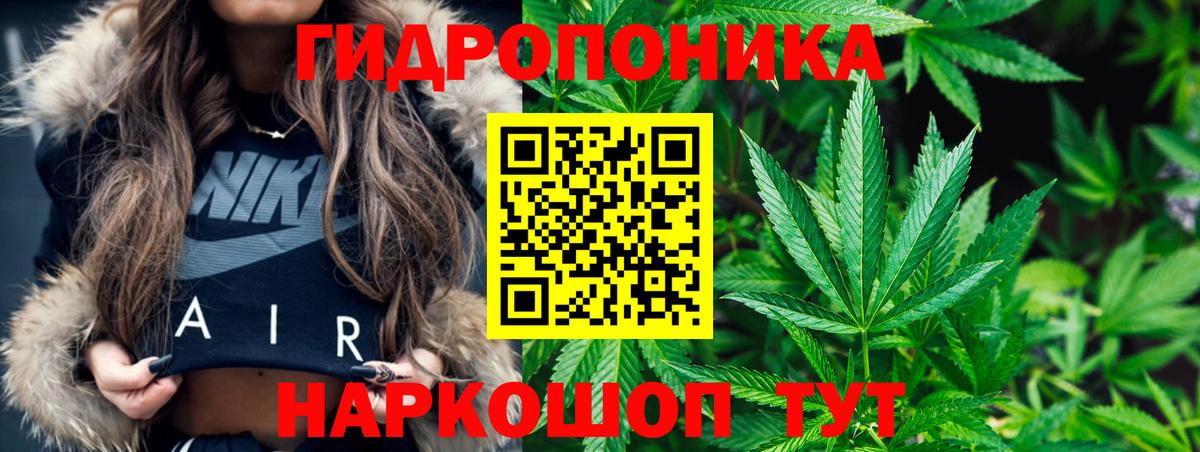 Марихуана ГИДРОПОН  Шишки марихуана Amnesia  Малгобек  Каннабис THC 21%  МАРИХУАНА планчик 